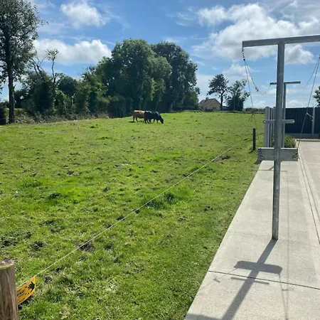 Paddys Taghmon